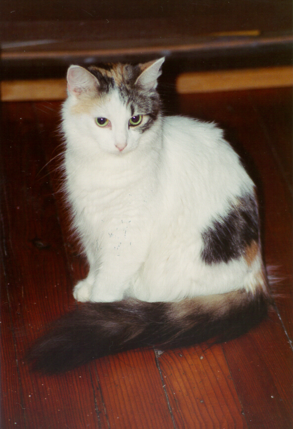Princess Standing